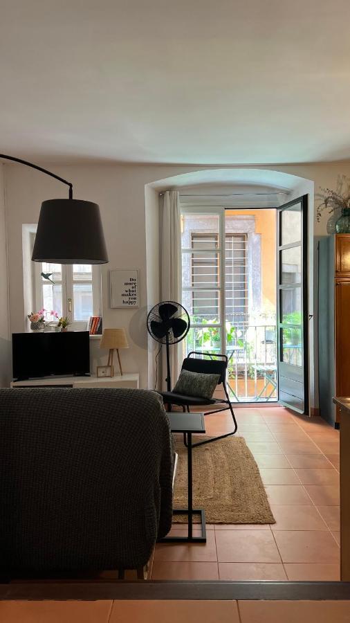 Apartamento Con Mucho Encanto Y Terraza En Barri Vell De Girona, El Cul De La Lleona Exterior photo